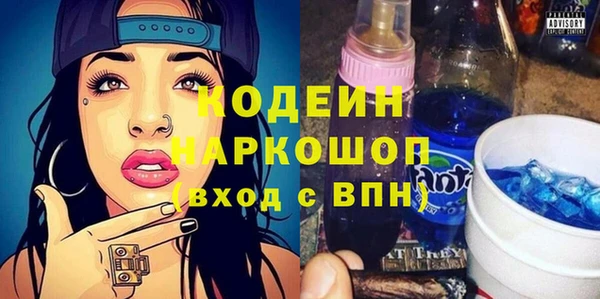 хмурый Алзамай