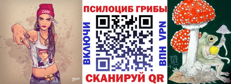 ссылка на мегу вход  Шебекино  Галлюциногенные грибы Psilocybe  где можно купить наркотик 