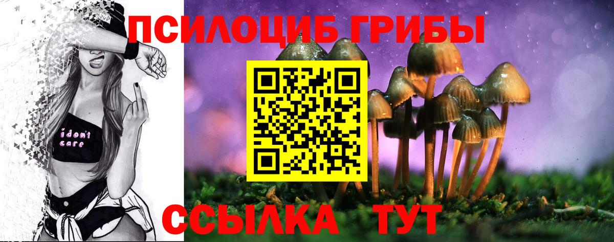 Галлюциногенные грибы Cubensis  Псилоцибиновые грибы Magic Shrooms  Вход с VPN  Шебекино 