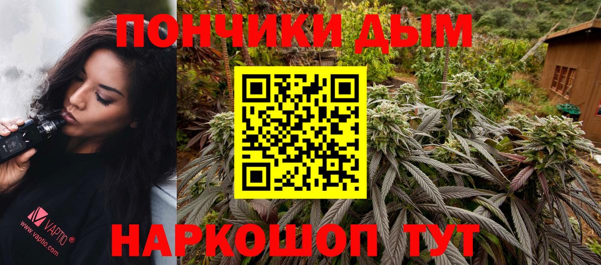 Шебекино  Бошки Шишки сатива  Вход с VPN  Канабис ГИДРОПОН 